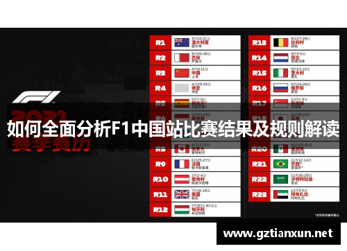如何全面分析F1中国站比赛结果及规则解读
