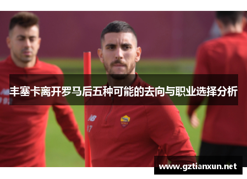 丰塞卡离开罗马后五种可能的去向与职业选择分析