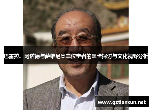 巴雷拉、阿诺德与萨维尼奥三位学者的黑卡探讨与文化视野分析