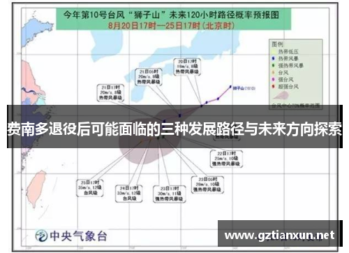 费南多退役后可能面临的三种发展路径与未来方向探索