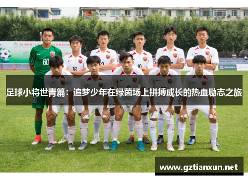 足球小将世青篇:追梦少年在绿茵场上拼搏成长的热血励志之旅 足球小将世青篇:追梦少年在绿茵场上拼搏成长的热血励志之旅